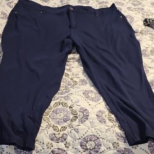 Women's Navy Jegging